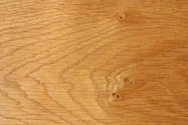 La finestra quercia dorata: è ancora il successo o è già la storia?